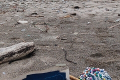 I was going to start pad-stitching the burlap to the canvas, but the beach was FREEZING